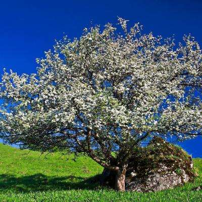 万博ManBetX登录网页版app下载